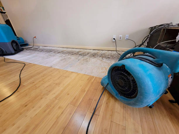Professional Structural Drying technician working in Conasauga, TN